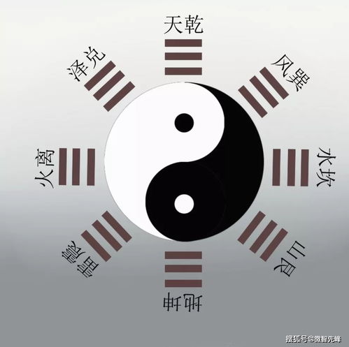 八字命盘大师,八字命盘免费下载 八字命盘大师,八字命盘免费下载