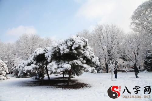 梦见一片白雪