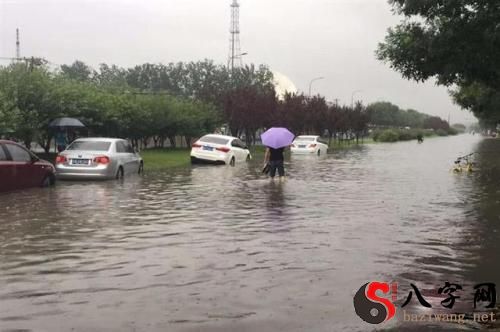 梦见突下暴雨